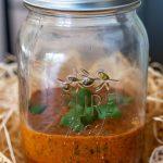 Rode zomerse chimichurri