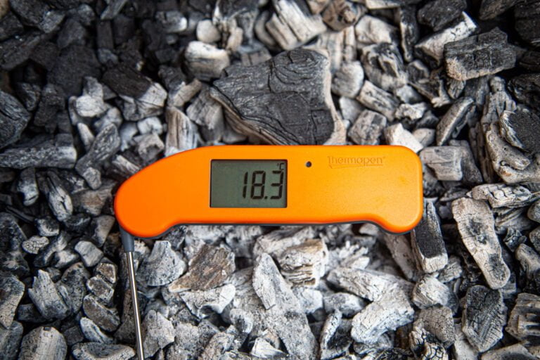 Thermapen One