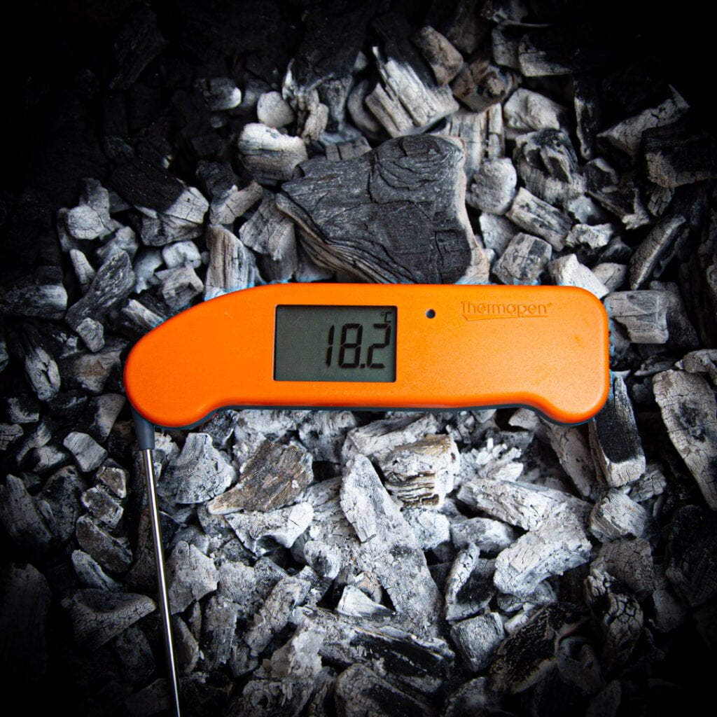 thermapen one